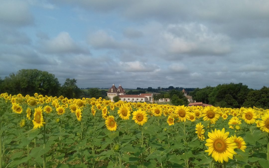 Séjour Revitalisation d’Automne au Domaine d’Orion du 25 septembre au 1er octobre 2022